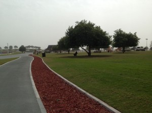 Foto 1 Kopie 2